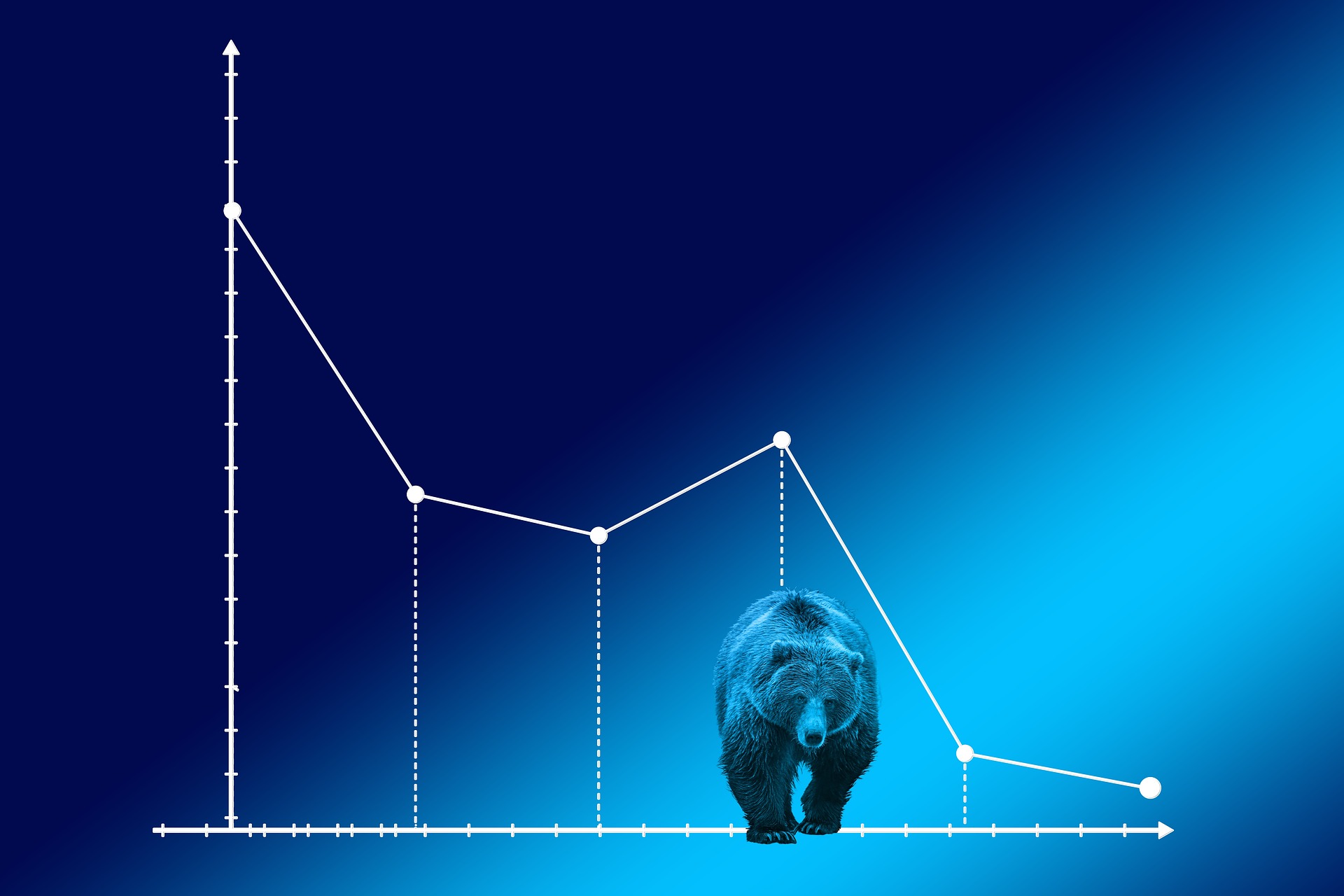 Planning Techniques for Bear Markets WESCAP Group